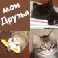 Аватар пользователя