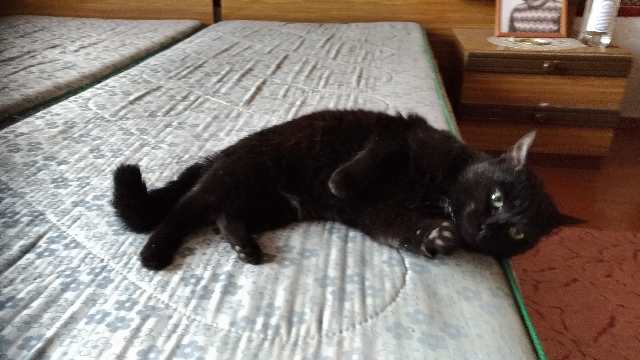 image000002.jpg