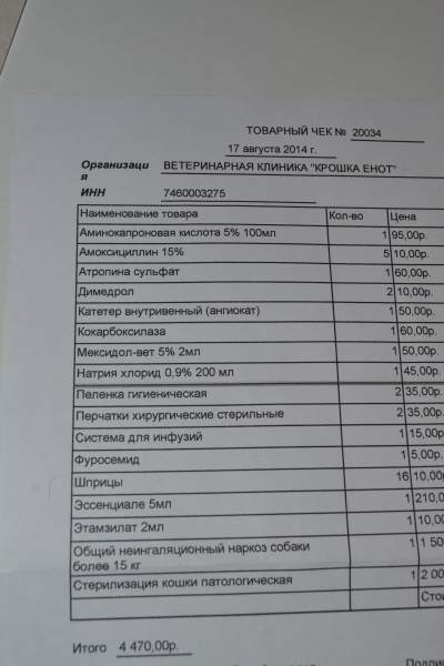 2014-08-23 11-12-48.JPG