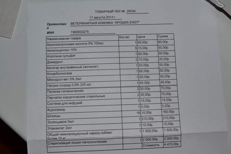 2014-08-23 11-12-20.JPG