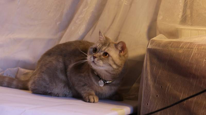 IMG_0340.JPG