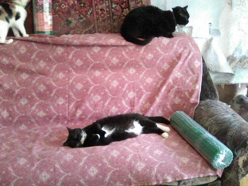 Photo0978.jpg