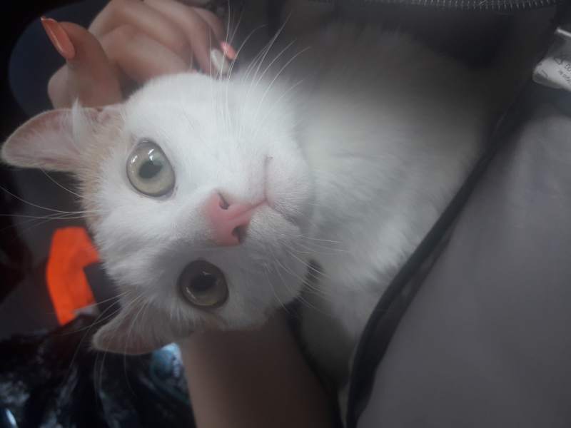 20180704_162910.jpg