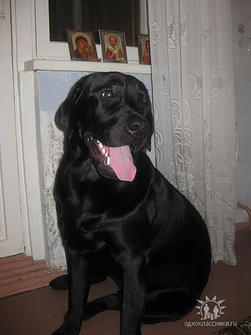 image (1).jpg