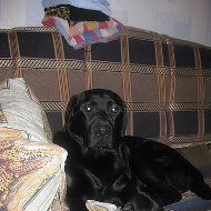 image (2).jpg
