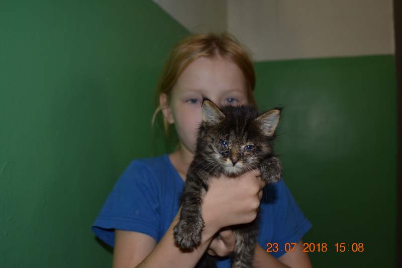 DSC_3038.JPG