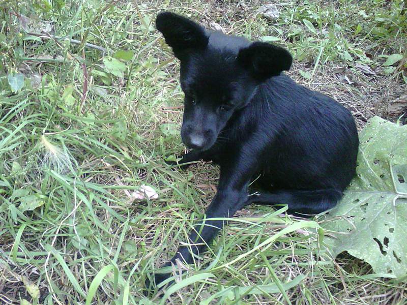 Photo0017.jpg