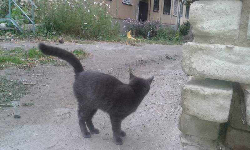 20140921_094151.jpg