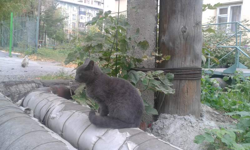 20140921_094239.jpg