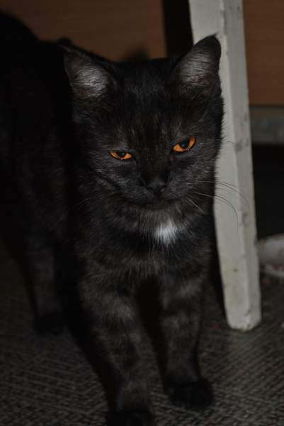 DSC_0046.jpg