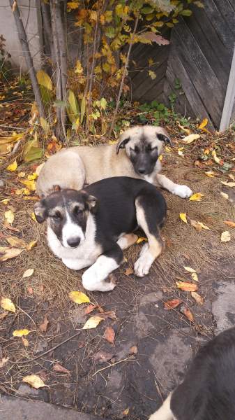 20141004_142528.jpg