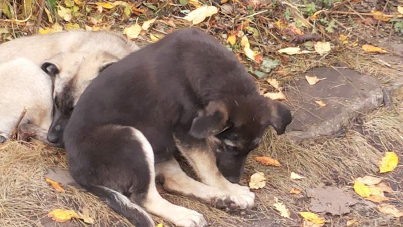 20141004_142641.jpg
