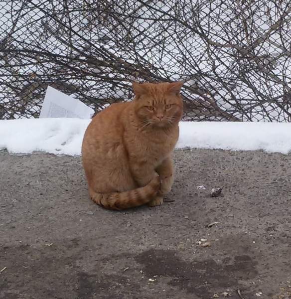 20190105_153148.jpg