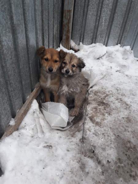 IMG-20190112-WA0000.jpg