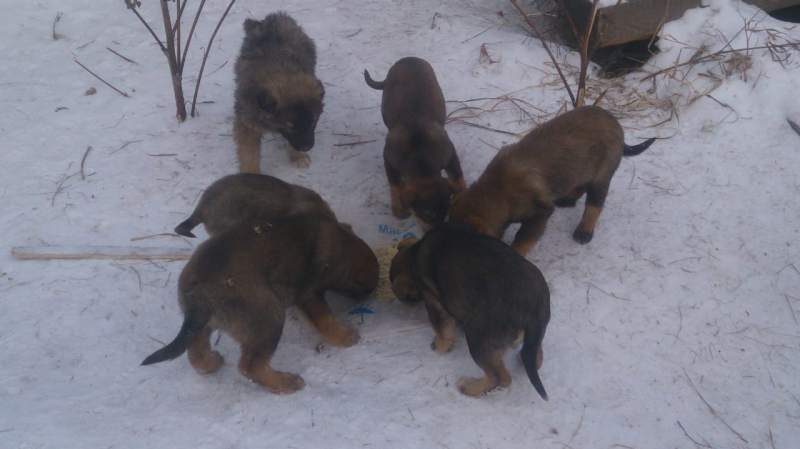 IMG-20190113-WA0000.jpg