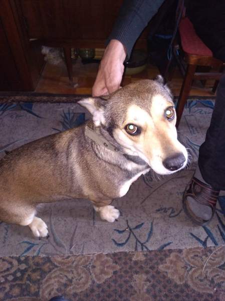 IMG-1301572c1e7885b83486a70bf933c3cb-V.jpg
