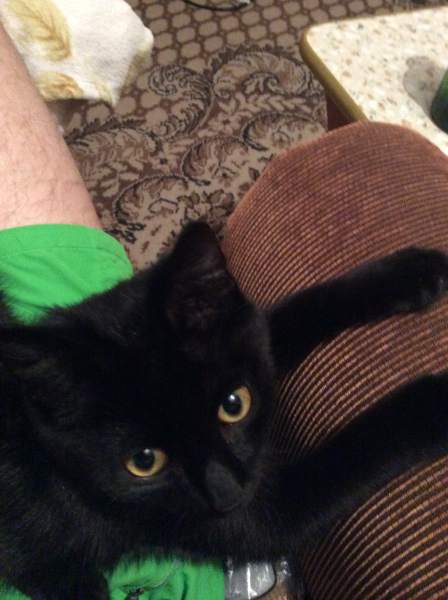 image-10-10-14-02-21-1 (1).jpeg