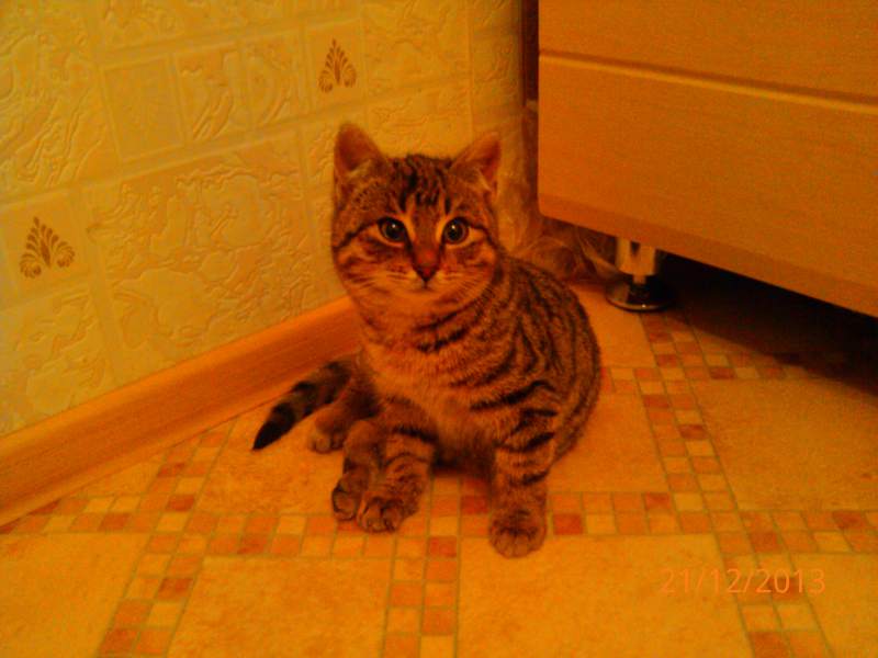 2013-12-21 20.12.28.jpg