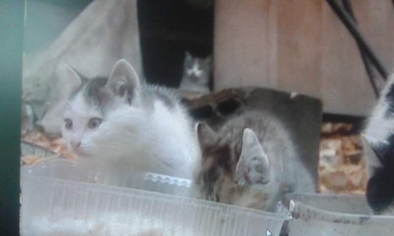 20141015_104400.jpg