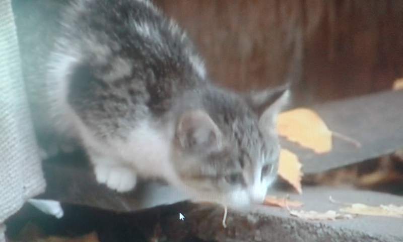 20141015_104410.jpg