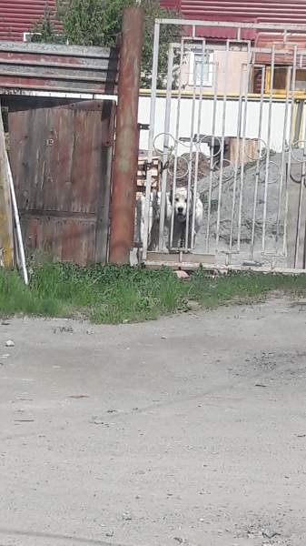 Поворот 20190531_142413.jpg