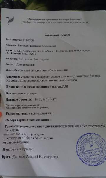 IMG_20190601_164415.jpg