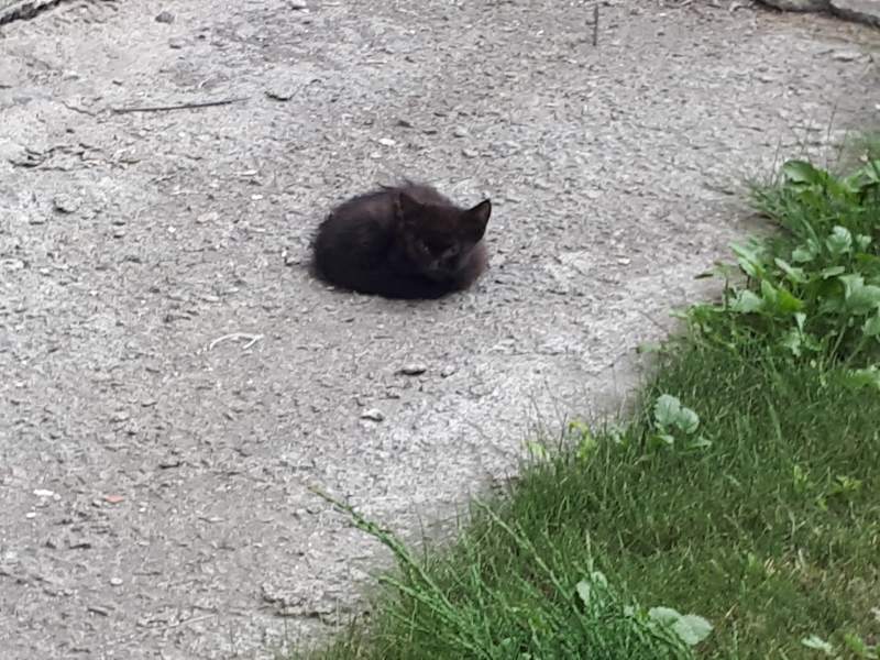 20190707_193418.jpg