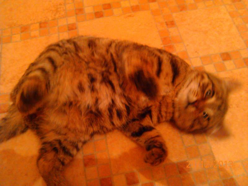 2013-12-21 20.07.48.jpg