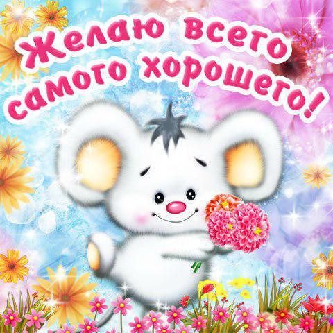 new-card-6955 (1).jpg
