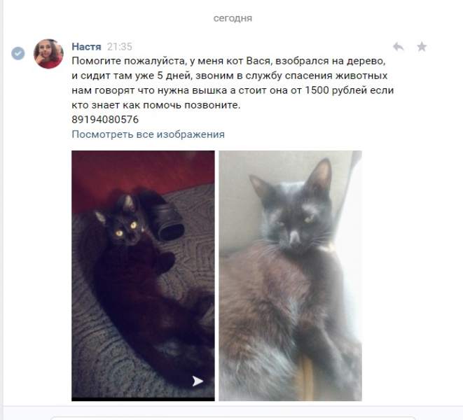 Настя.jpg