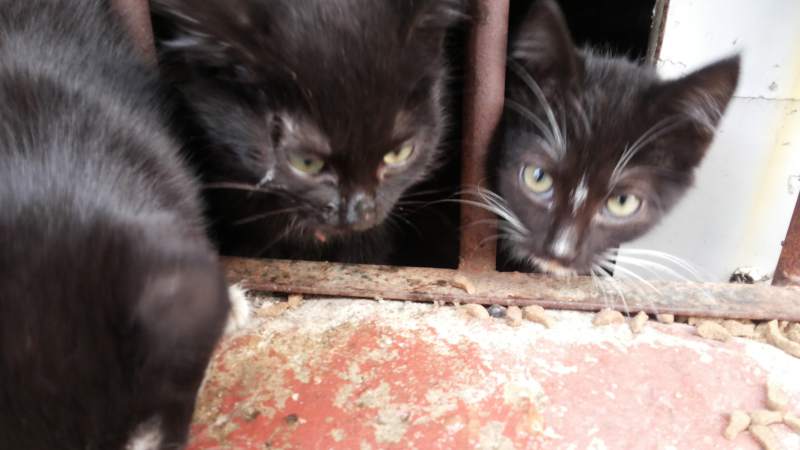 20141009_122752.jpg