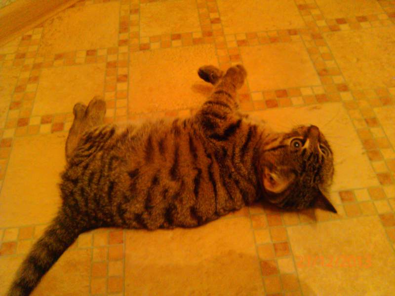 2013-12-21 20.07.11.jpg