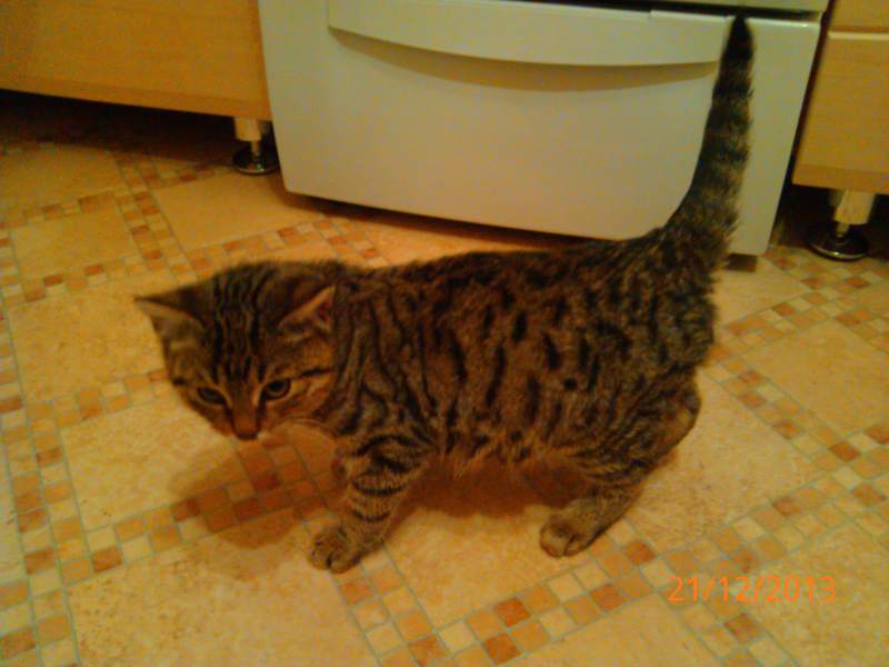 2013-12-21 20.06.20.jpg