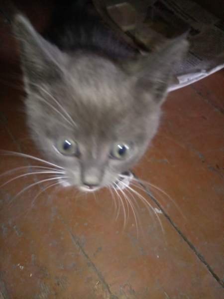 IMG-20191017-WA0000.jpg