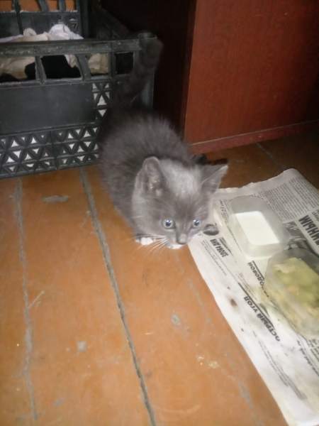 IMG-20191017-WA0001.jpg