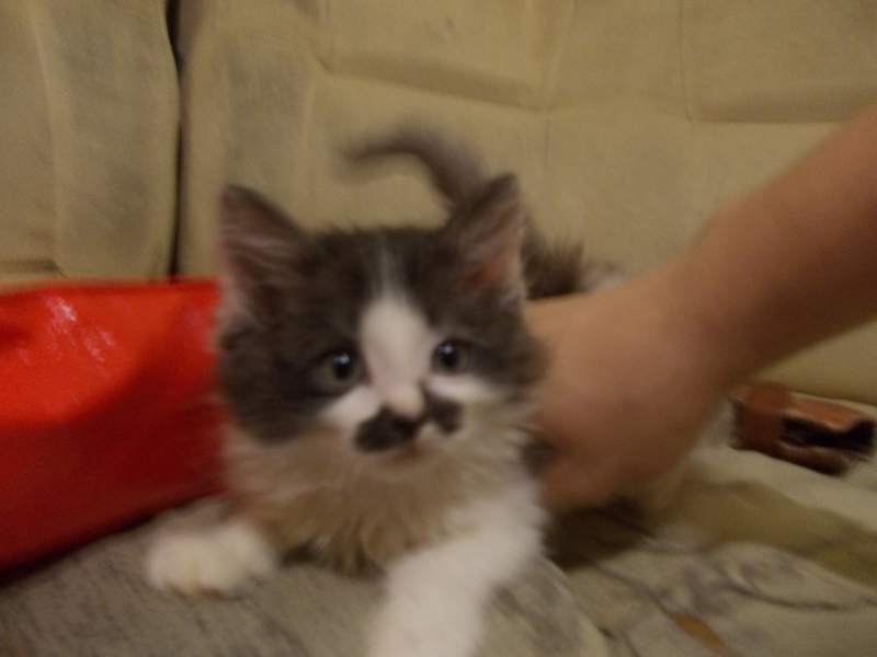 DSCN3218.JPG