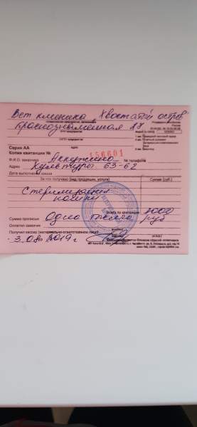 Поворот 20200630_210151.jpg