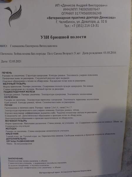 IMG_20210512_201319.jpg