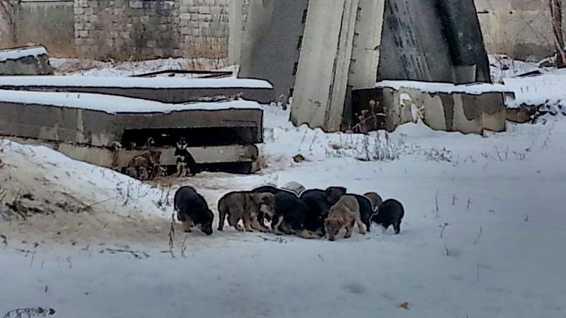 IMG_20141111_102026.jpg