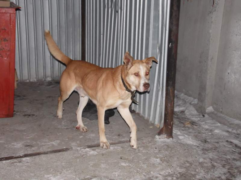 SAM_0059.JPG