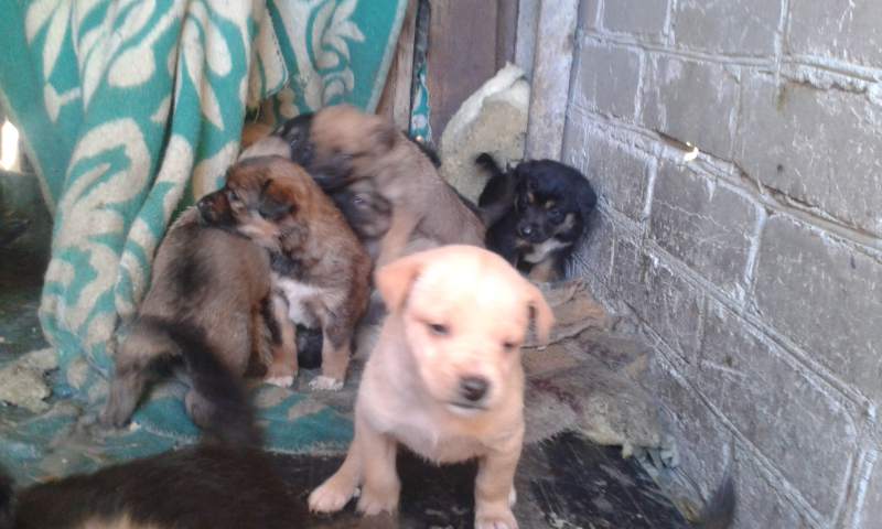 20141203_150151.jpg