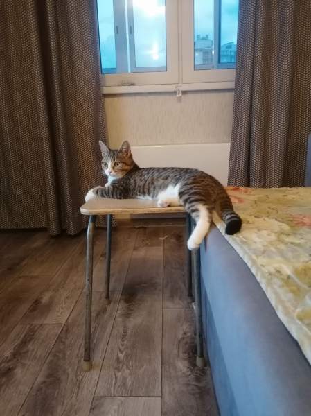 изображение_viber_2021-08-25_20-24-54-847.jpg