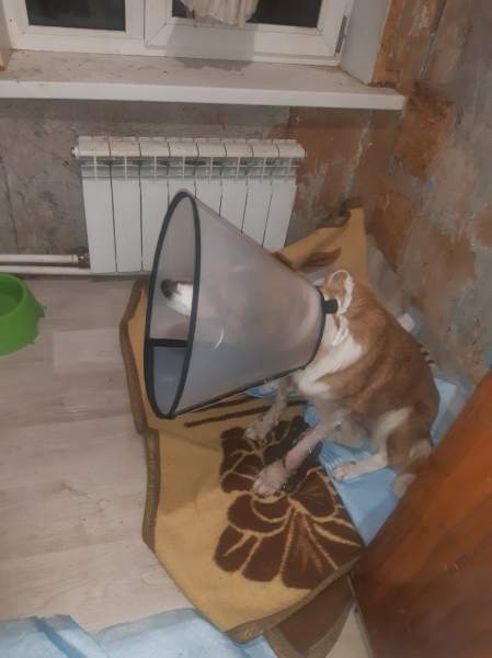5_gEQcHSATs.jpg