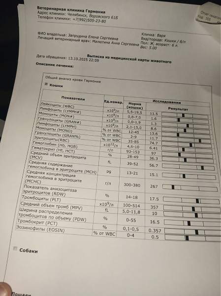 tD5_5jIBTVHl2WecpZYutxibJ_5TEWtSUBuzSTja5I_V9xFGp-YJMQpYIRJqezQNge-A5sYjlMqguN7uJqpXQK5v.jpg