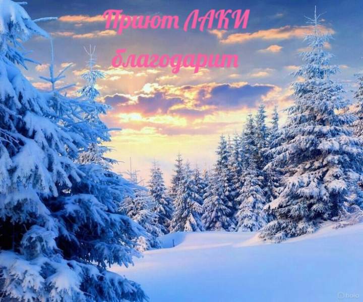 благодаритЗима.jpg