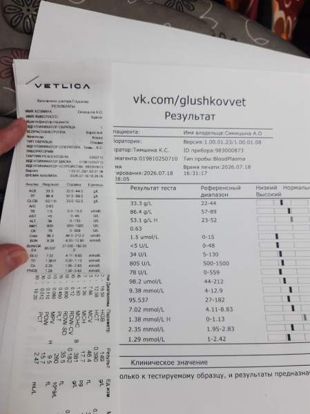 8vUu3gkrYxC-foaaHdbvqESVe7SjWhM3LODgEgRp8QtqOmOJvyfHTuycUHN_dGpdNLJGyxv3ywFOcbq3g-9dTI07.jpg
