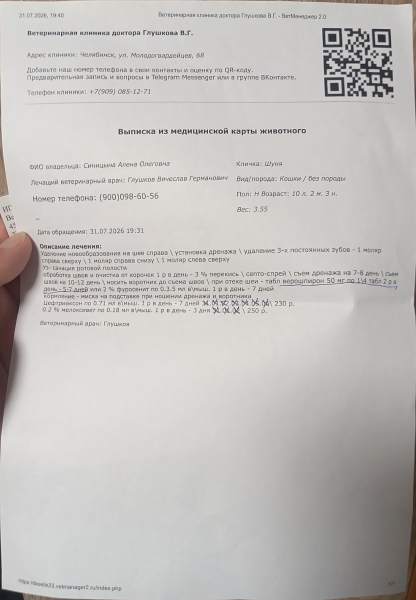 u5GjJGlBrnpWdei_RjMrYX82IidYVJLa0KCqctsJNG9Ivz7sb6BxAGi-DO6w_JJR2M5ElbqlKLUSnZDO2ya_XMo6.jpg