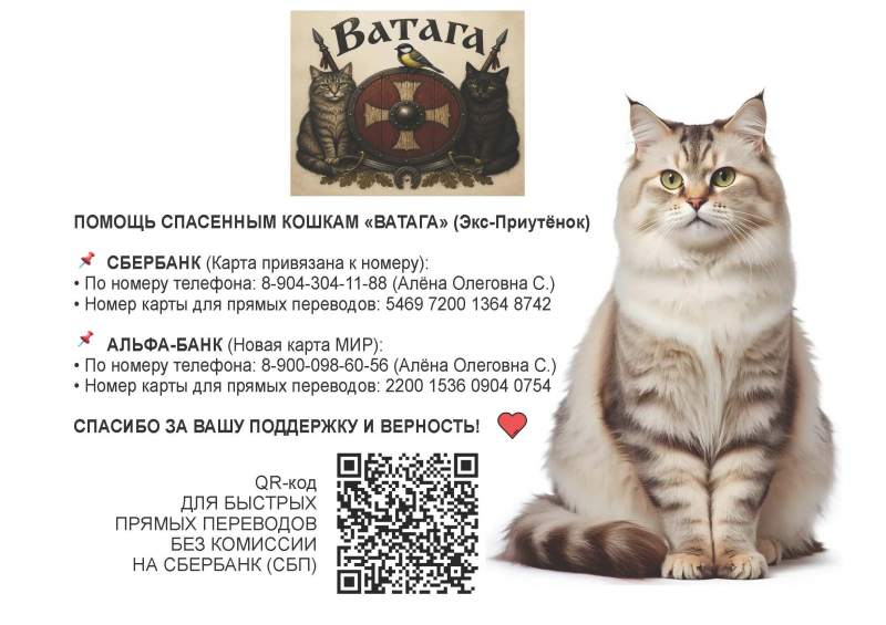 Ватага помощь.jpg