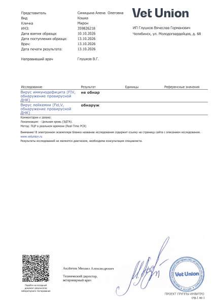 359826218_383912466_0_СИНИЦЫНА.jpg