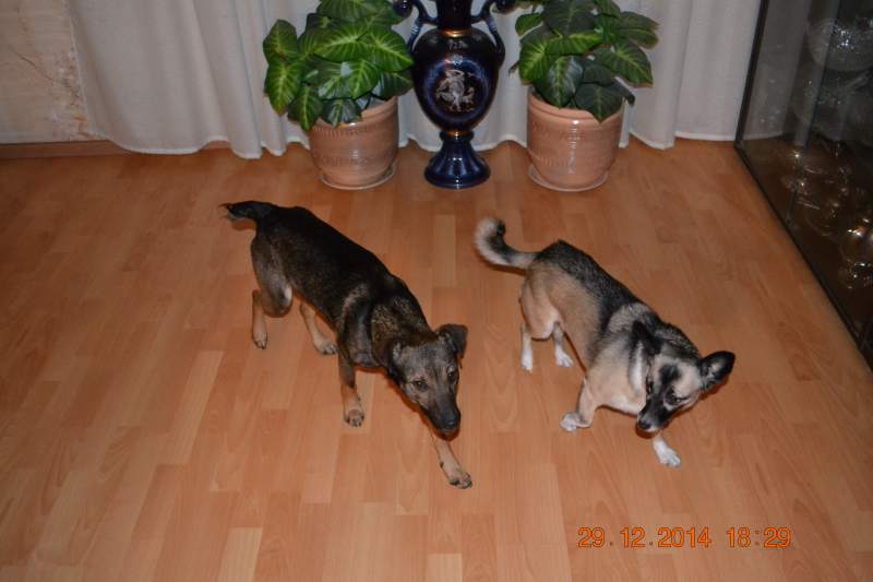 DSC_6536.JPG